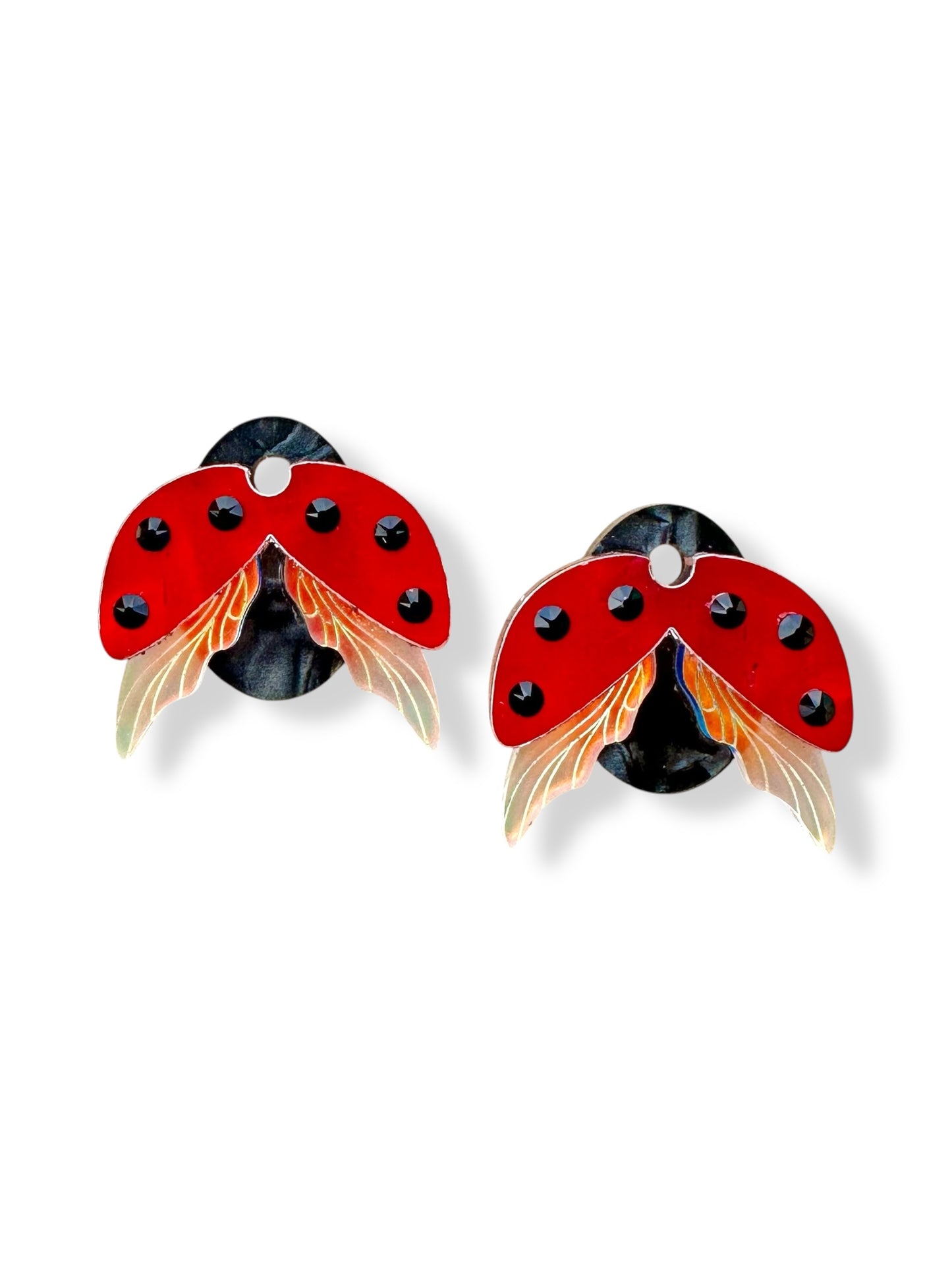 Ladybug Charms