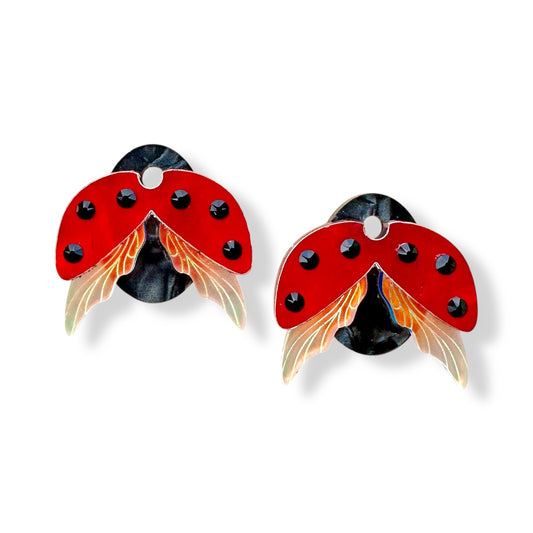 Ladybug Charms